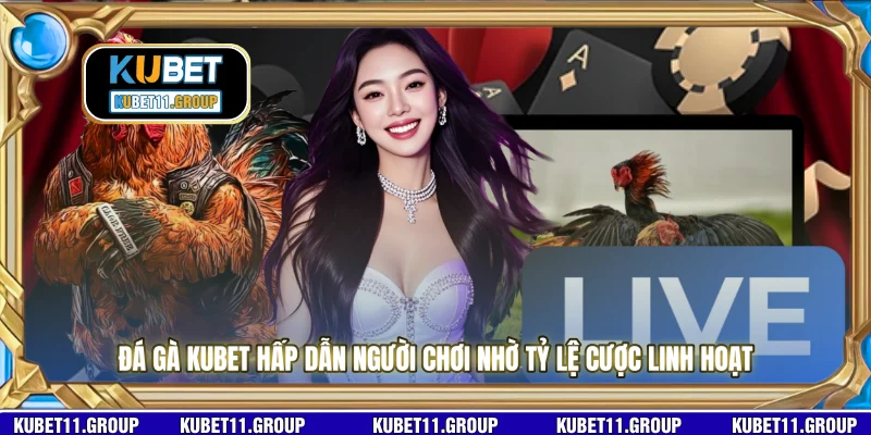 Đá gà KUBET hấp dẫn người chơi nhờ tỷ lệ cược linh hoạt Đá gà KUBET hấp dẫn người chơi nhờ tỷ lệ cược linh hoạt