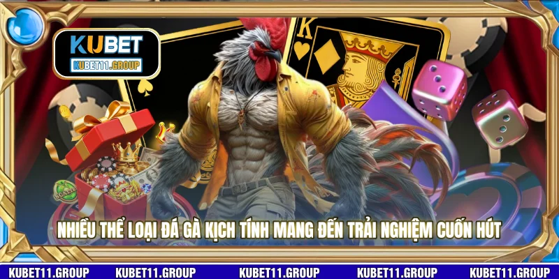 Nhiều thể loại đá gà kịch tính mang đến trải nghiệm cuốn hút Nhiều thể loại đá gà kịch tính mang đến trải nghiệm cuốn hút