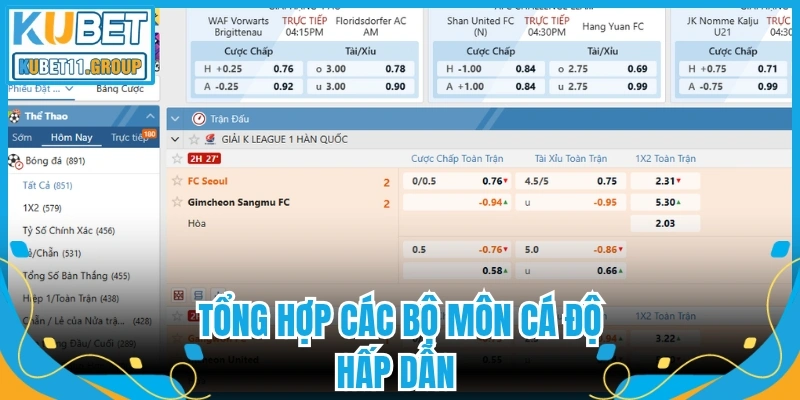 Tổng hợp các bộ môn cá độ hấp dẫn